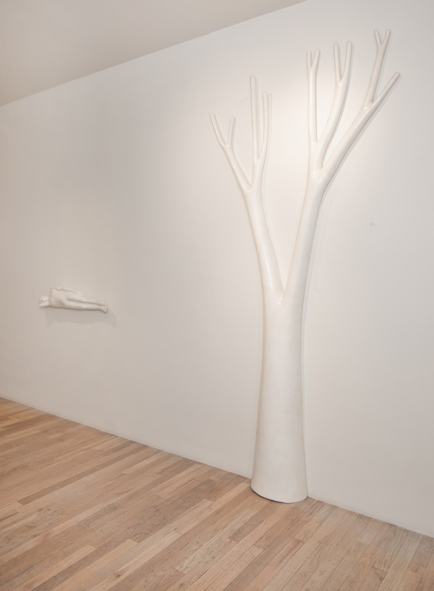 Xawery Wolski | Metamorphosis