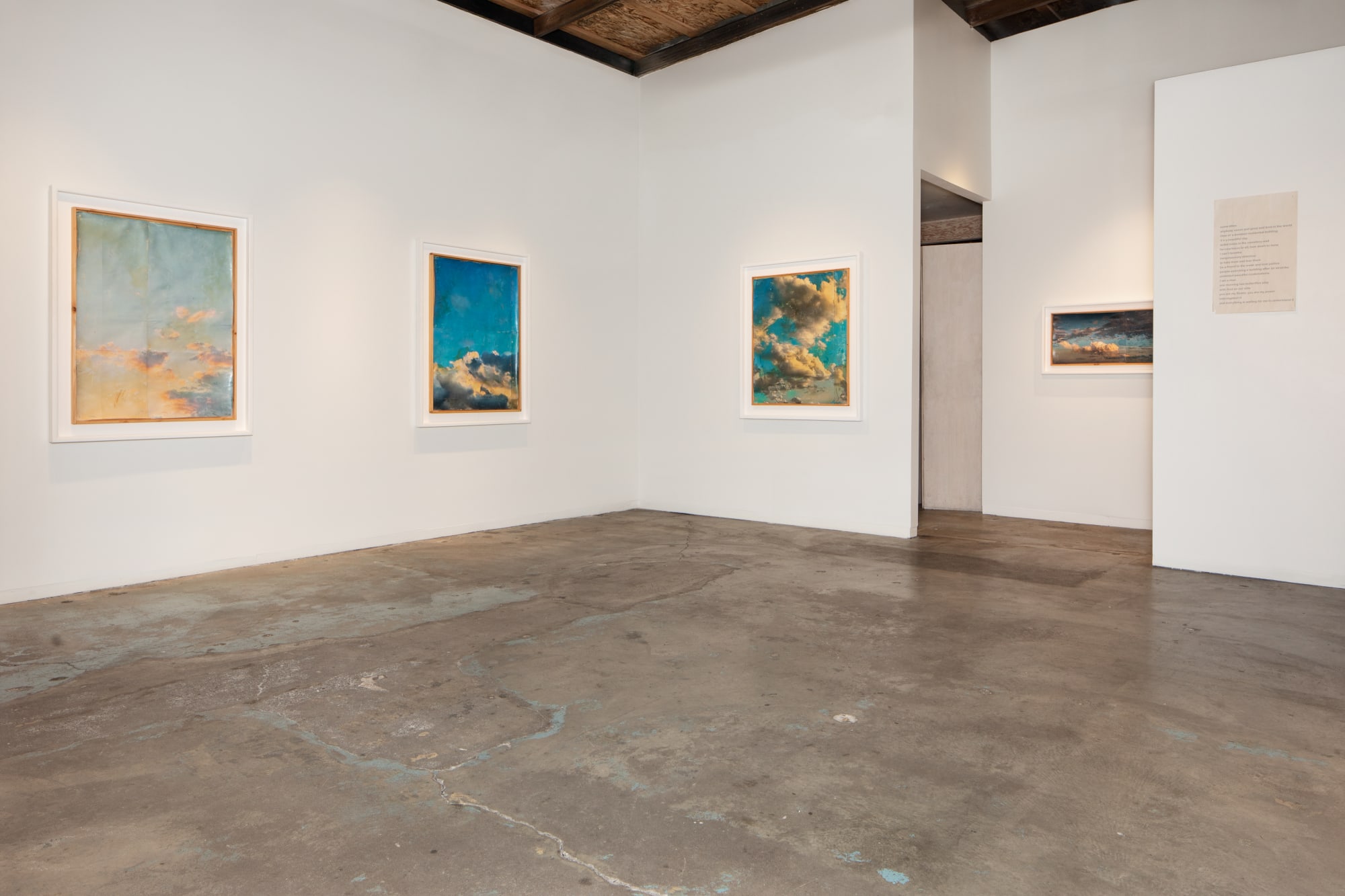 Doug and Mike Starn | Under the Sky