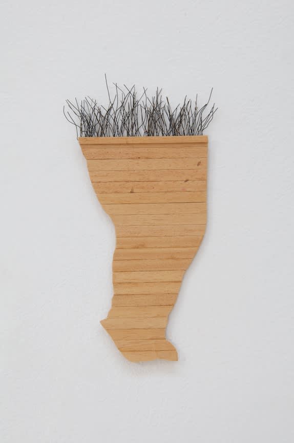 Mari Andrews Sediment