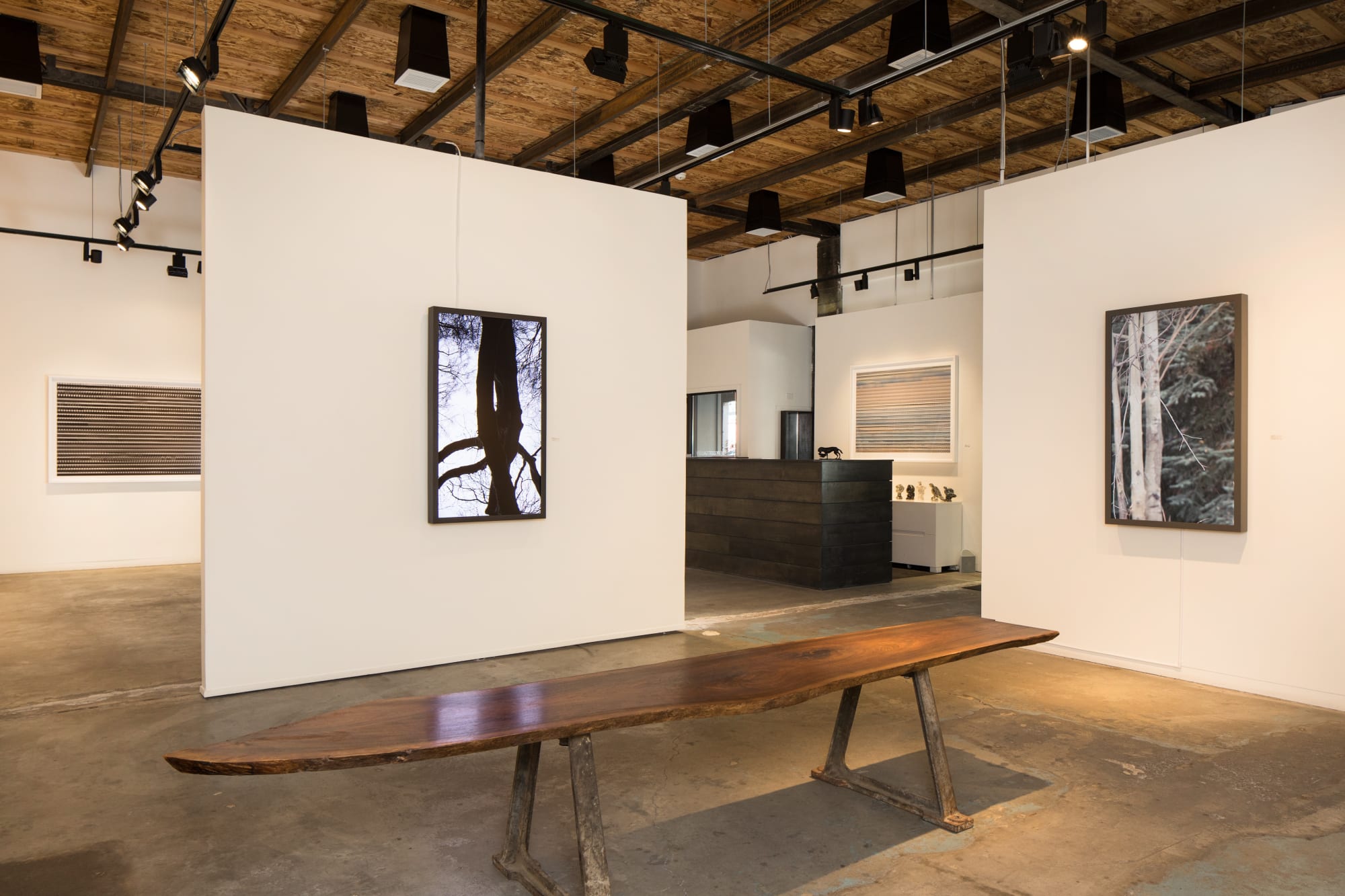 Jeffrey Blondes | Time Based HD Films + Print Editions