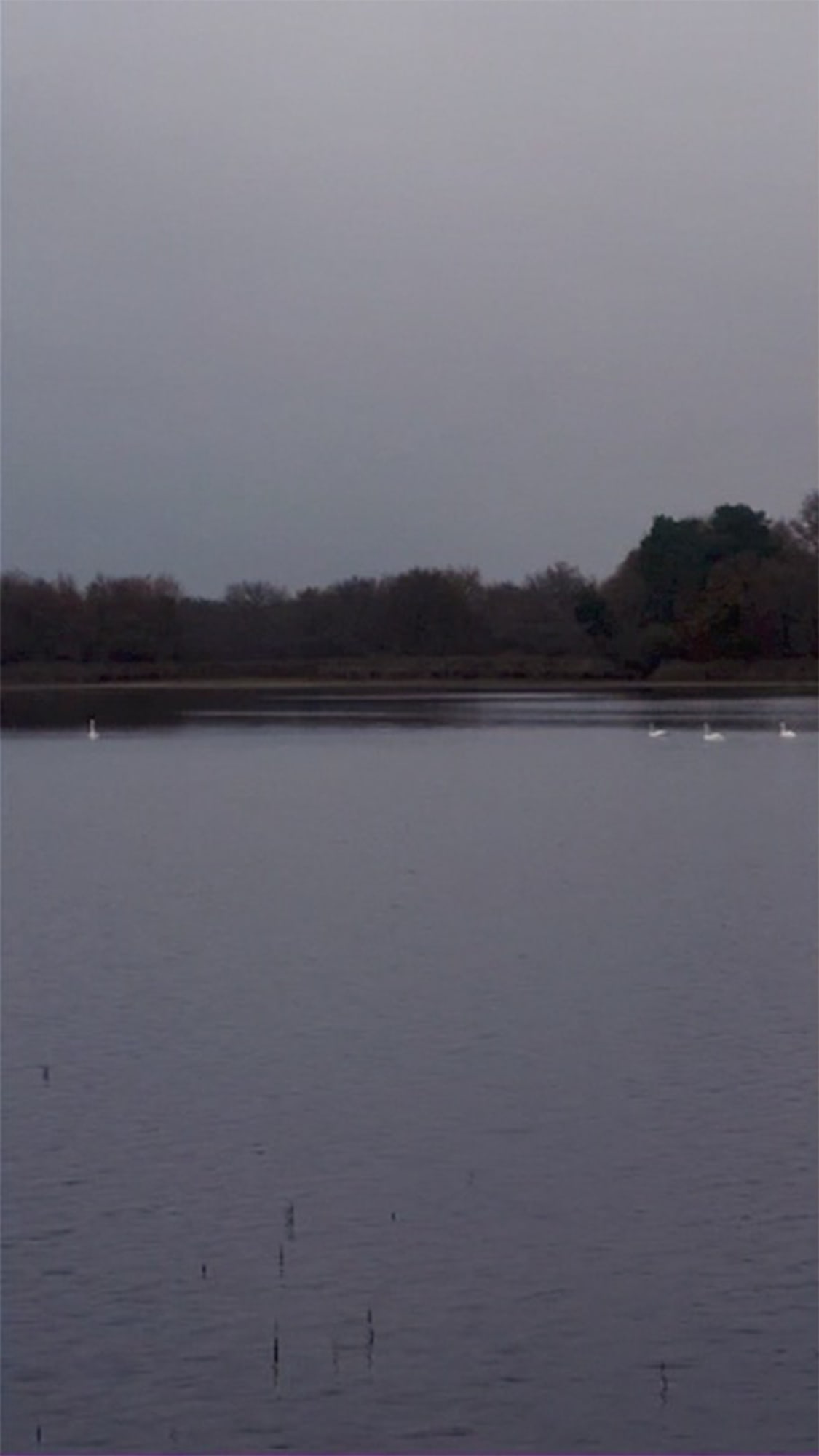 Jeffrey Blondes Le Grand Etang West 5