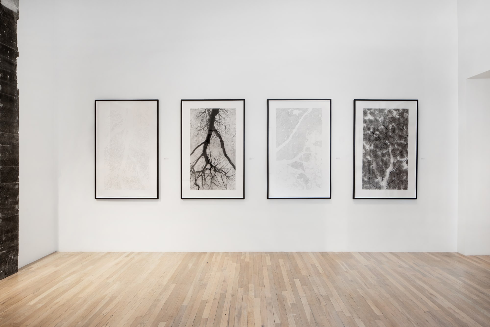 Jeffrey Blondes | Le Bois de Mametz