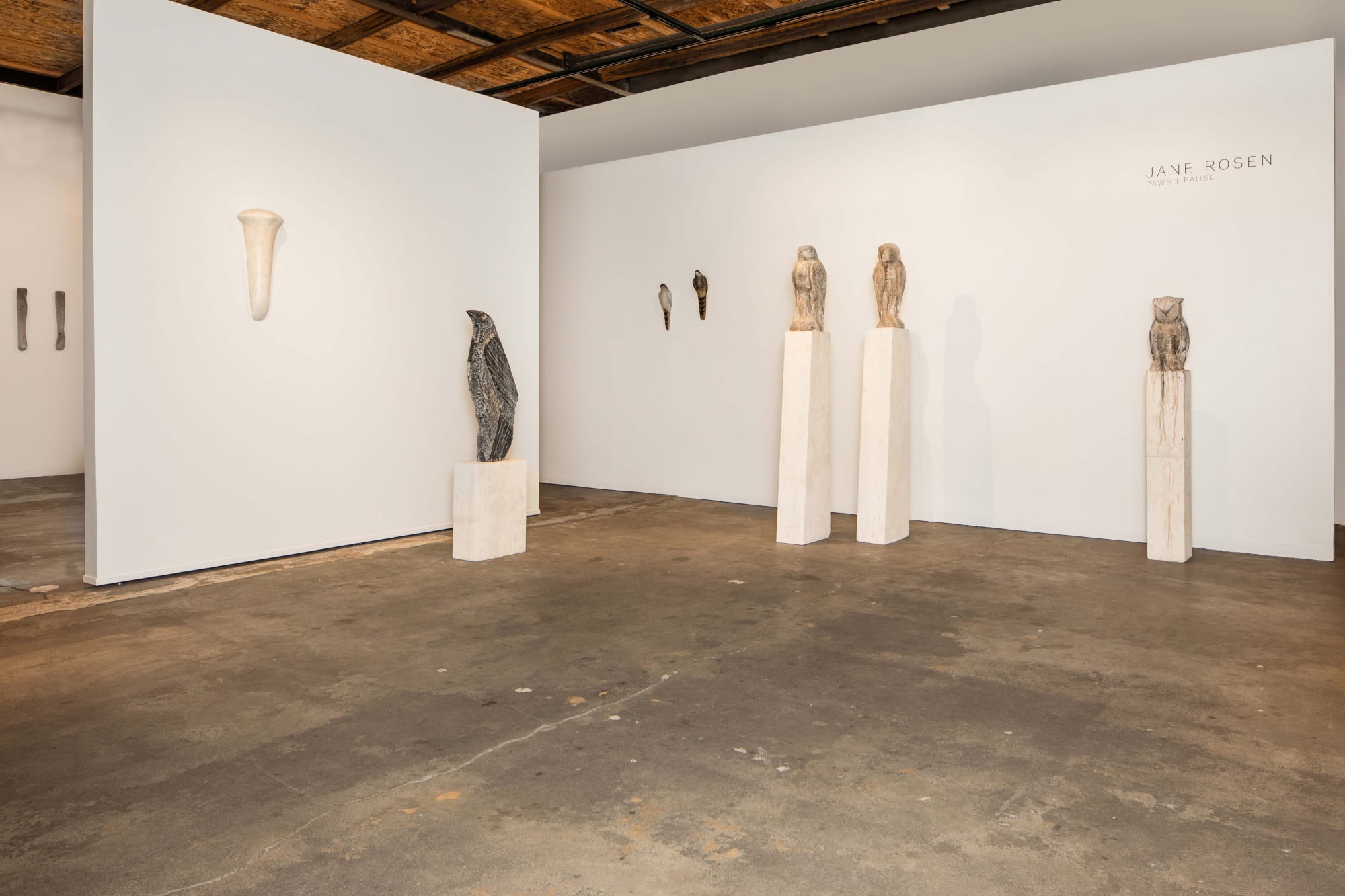 Jane Rosen | Paws / Pause