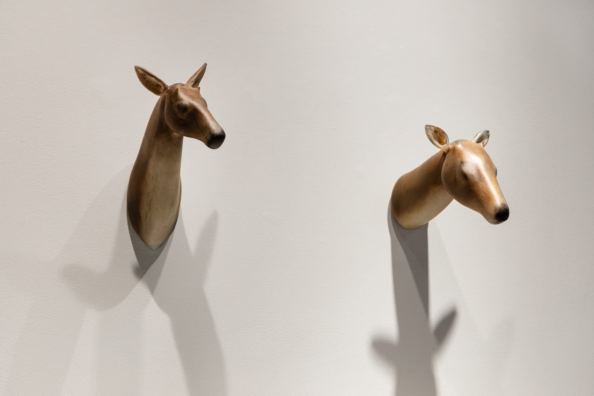 Jane Rosen | Paws / Pause