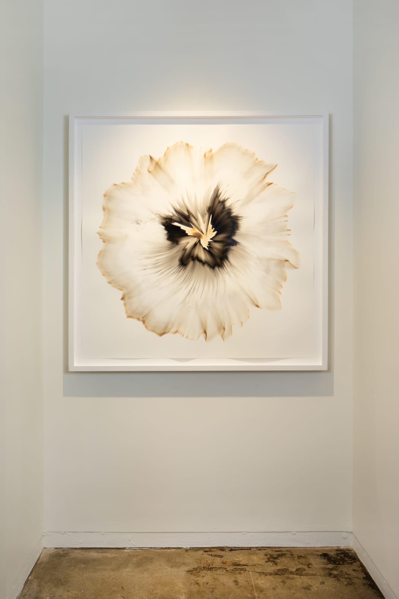 Dennis Lee Mitchell | Infinite Musings