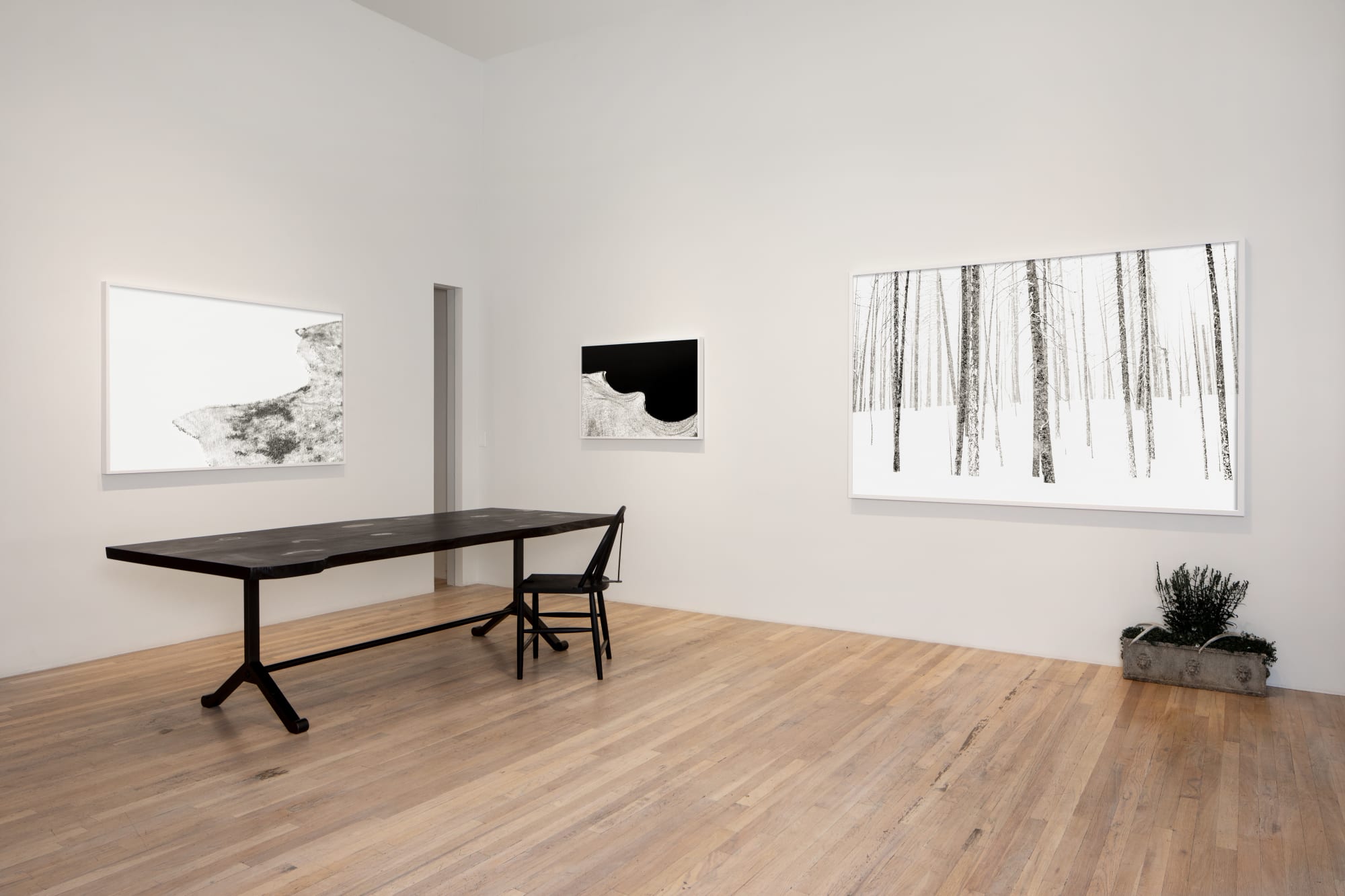 Tuck Fauntleroy | Burn