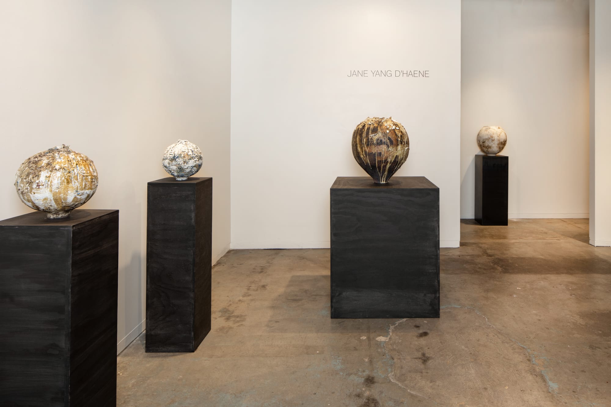 Jane Yang D'Haene | Becoming