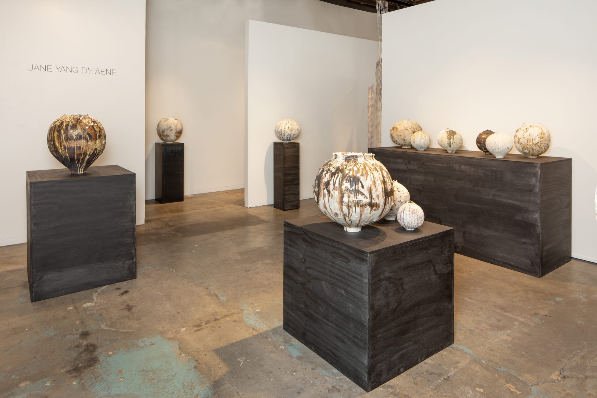 Jane Yang D'Haene | Becoming