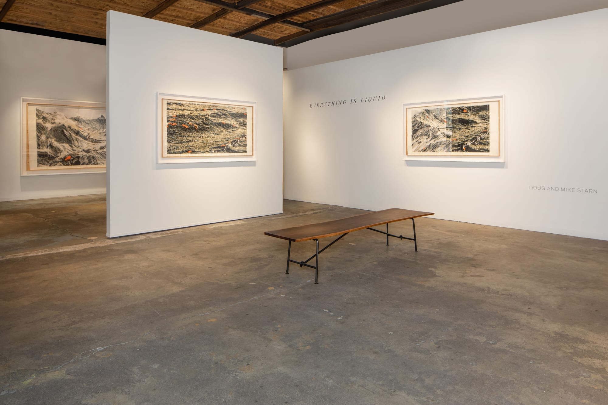 Doug and Mike Starn | Recent Work