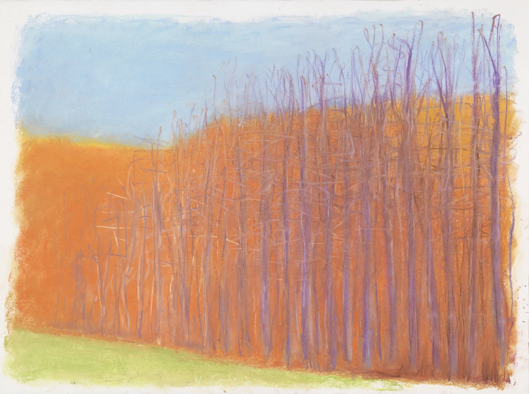 A Light Blue Sky, 2006 Pastel on paper 30 x 40 inches