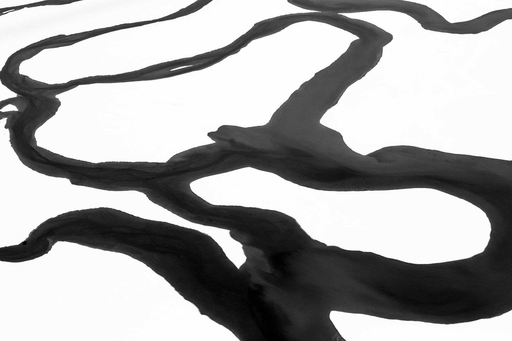 Confluence V, 2024 Archival pigment print Edition of 11 | 20 x 30 inches Edition of 9 | 26 1/2 x 40 inches Edition of 9 | 40 x 60 inches Edition of 3 | 53 1/3 x 80 inches