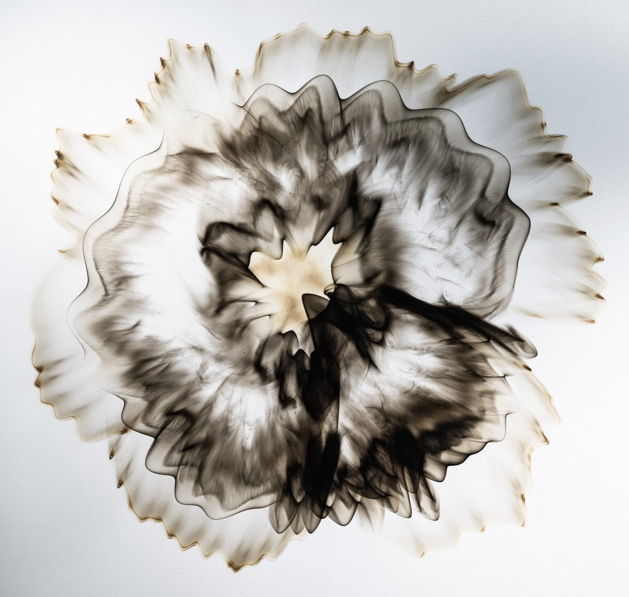 Mack, 2025 Smoke on paper 44 x 43 1/2 inches Framed dimensions 49 1/2 x 49 1/2 inches