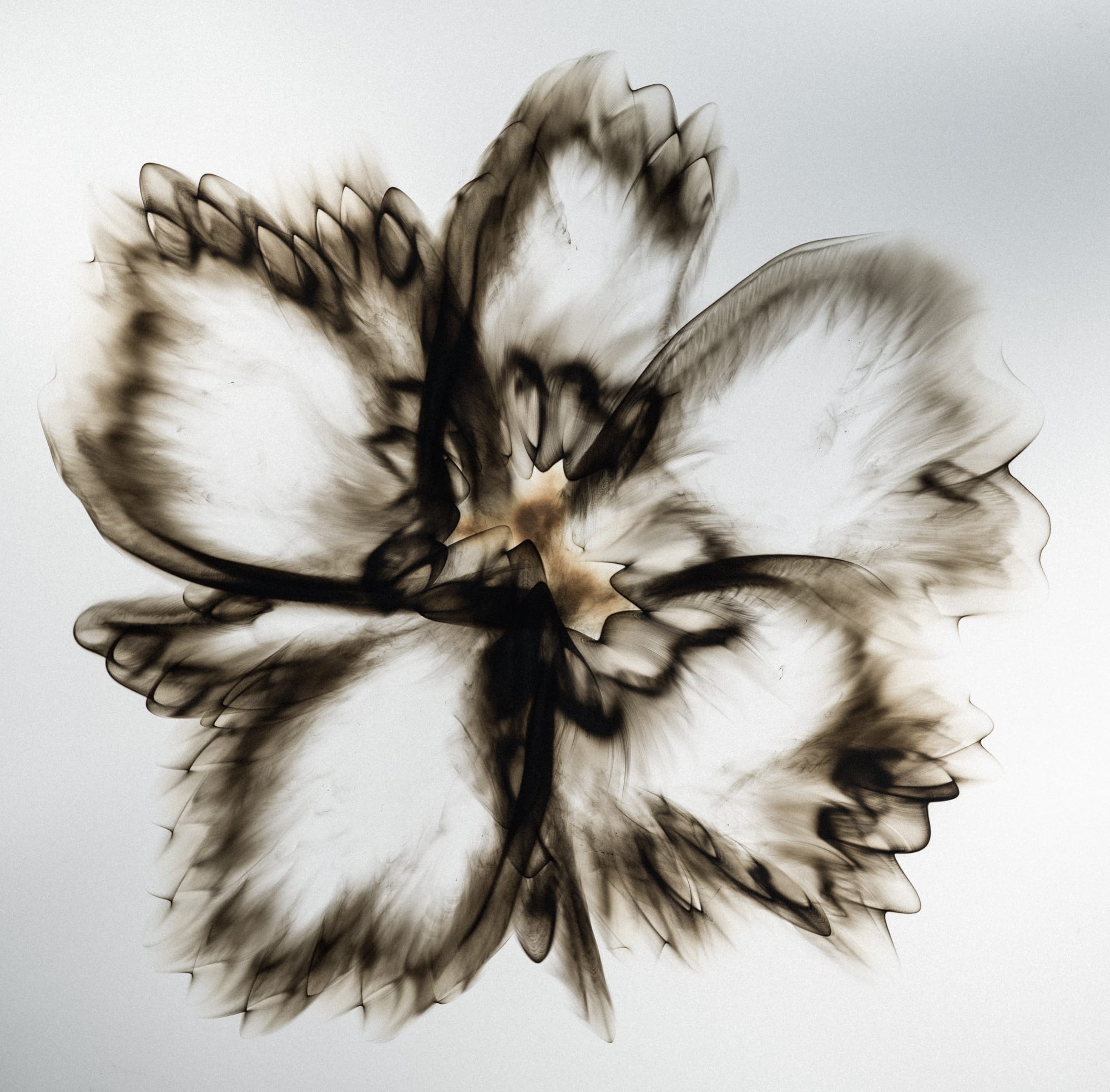 Smoke, 2025 Smoke on paper 44 x 43 1/2 inches Framed dimensions 49 3/4 x 49 1/2 inches