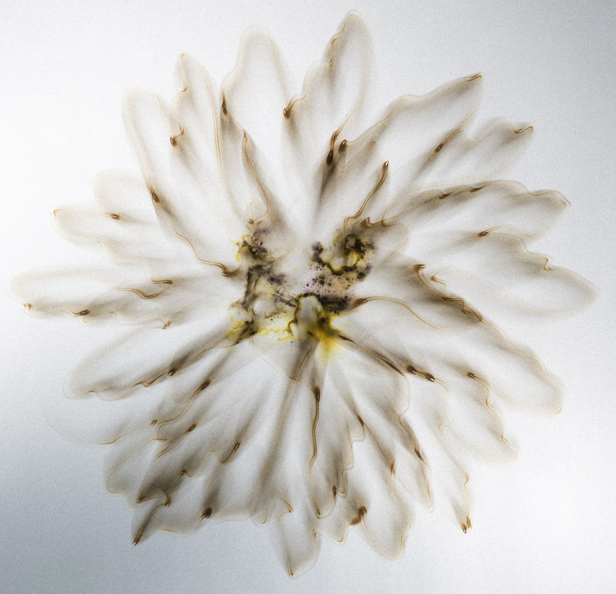 Residual, 2025 Colored smoke on paper 38 1/4 x 37 inches Framed dimensions 47 1/2 x 47 1/2 inches