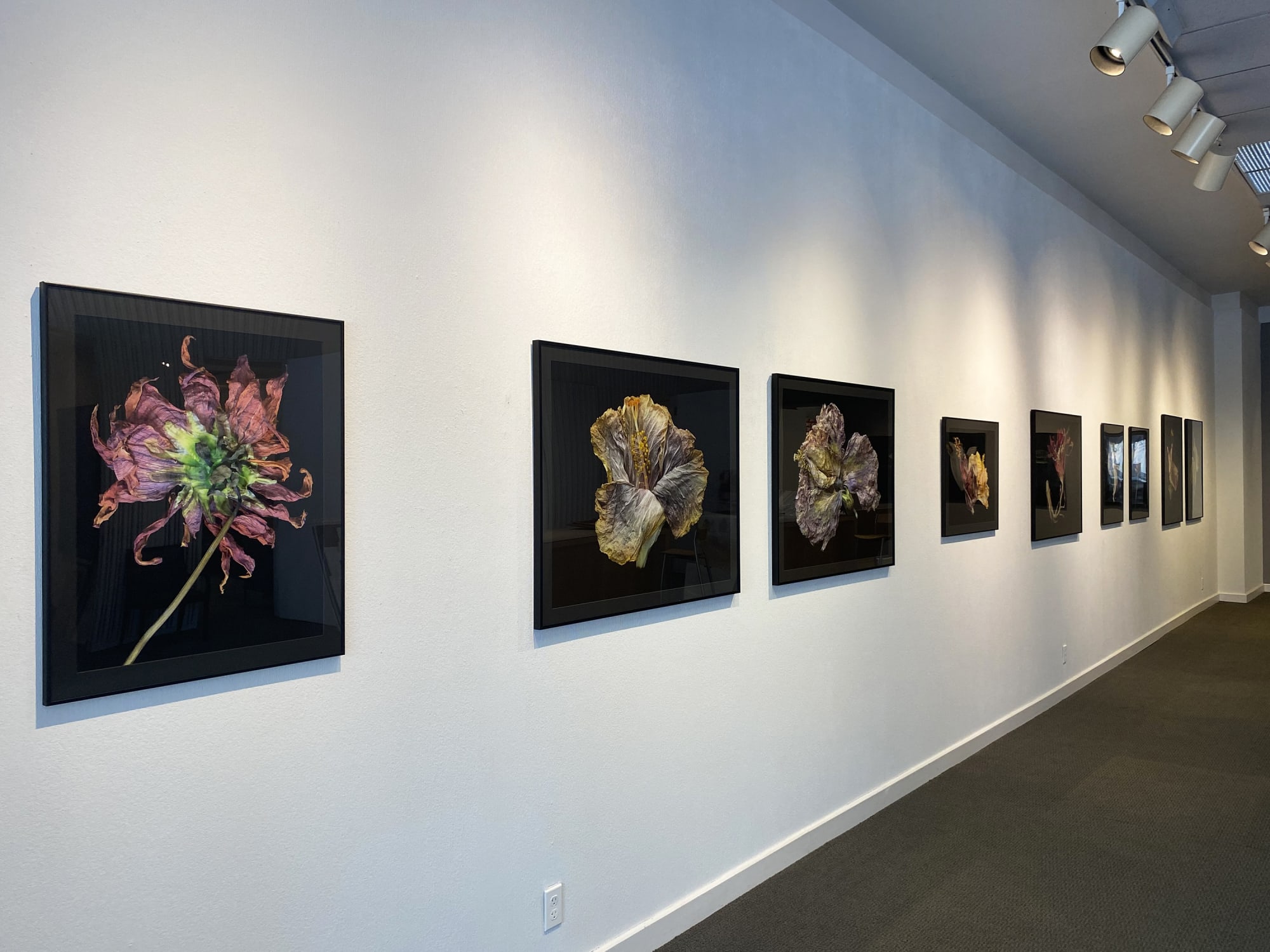 Art-Focused: Ardine Nelson