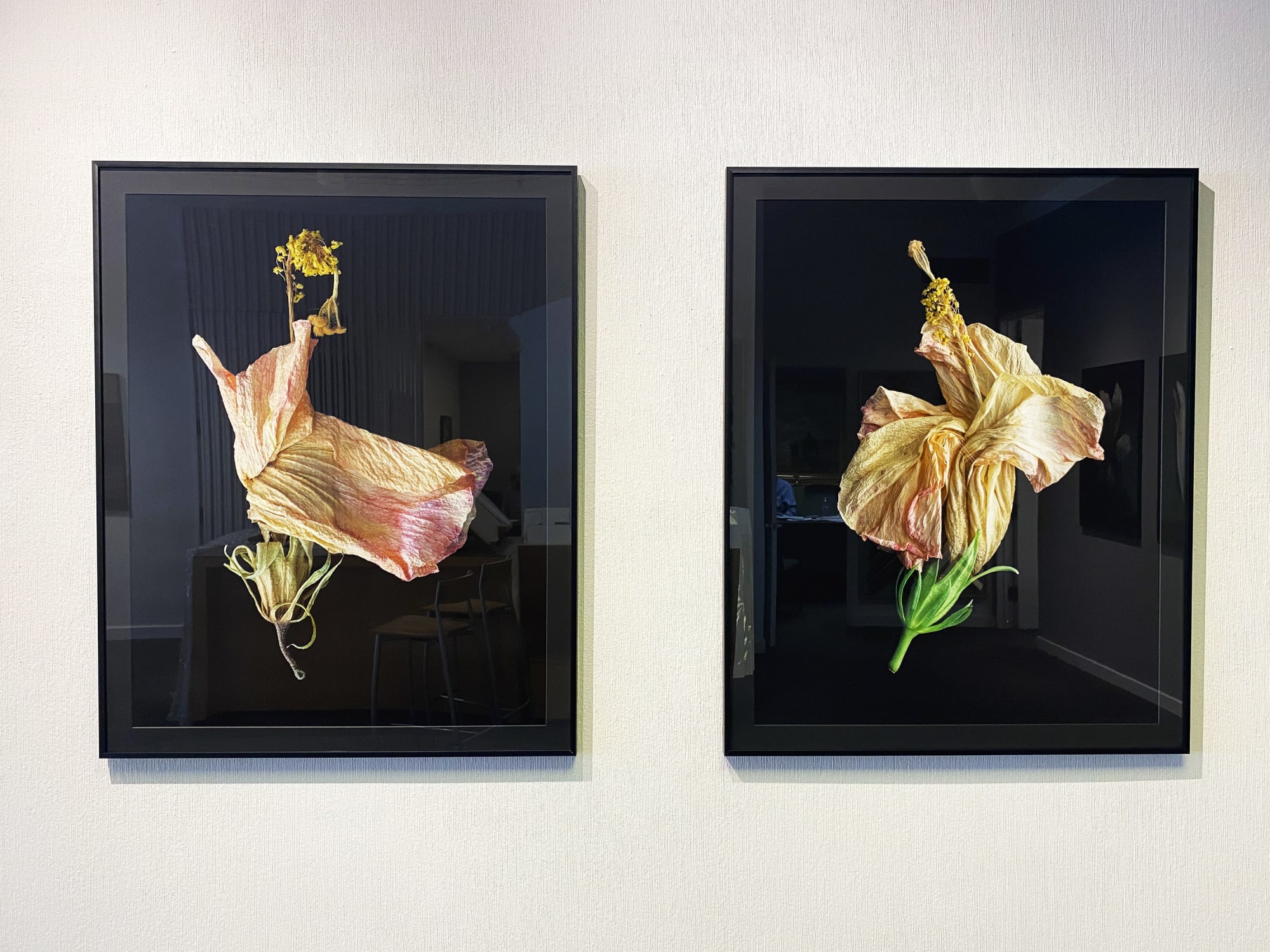 Art-Focused: Ardine Nelson