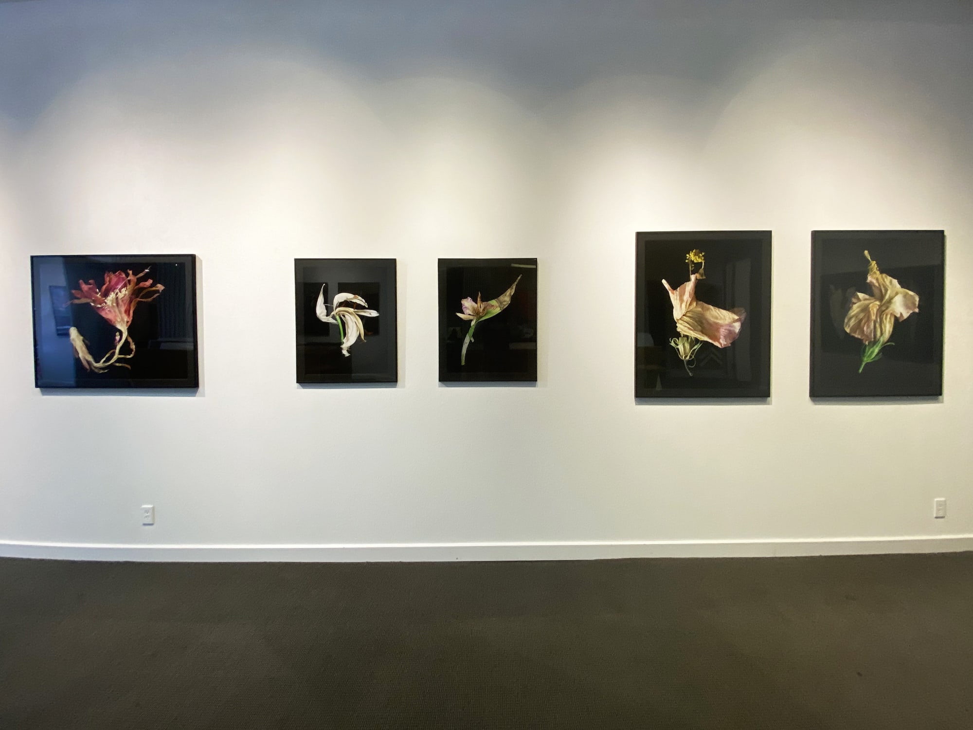 Art-Focused: Ardine Nelson