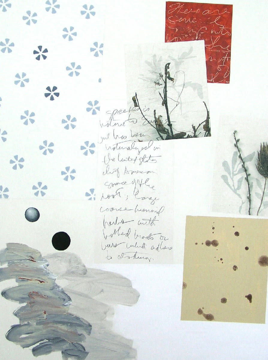 Mary Burke, Sources, 2020