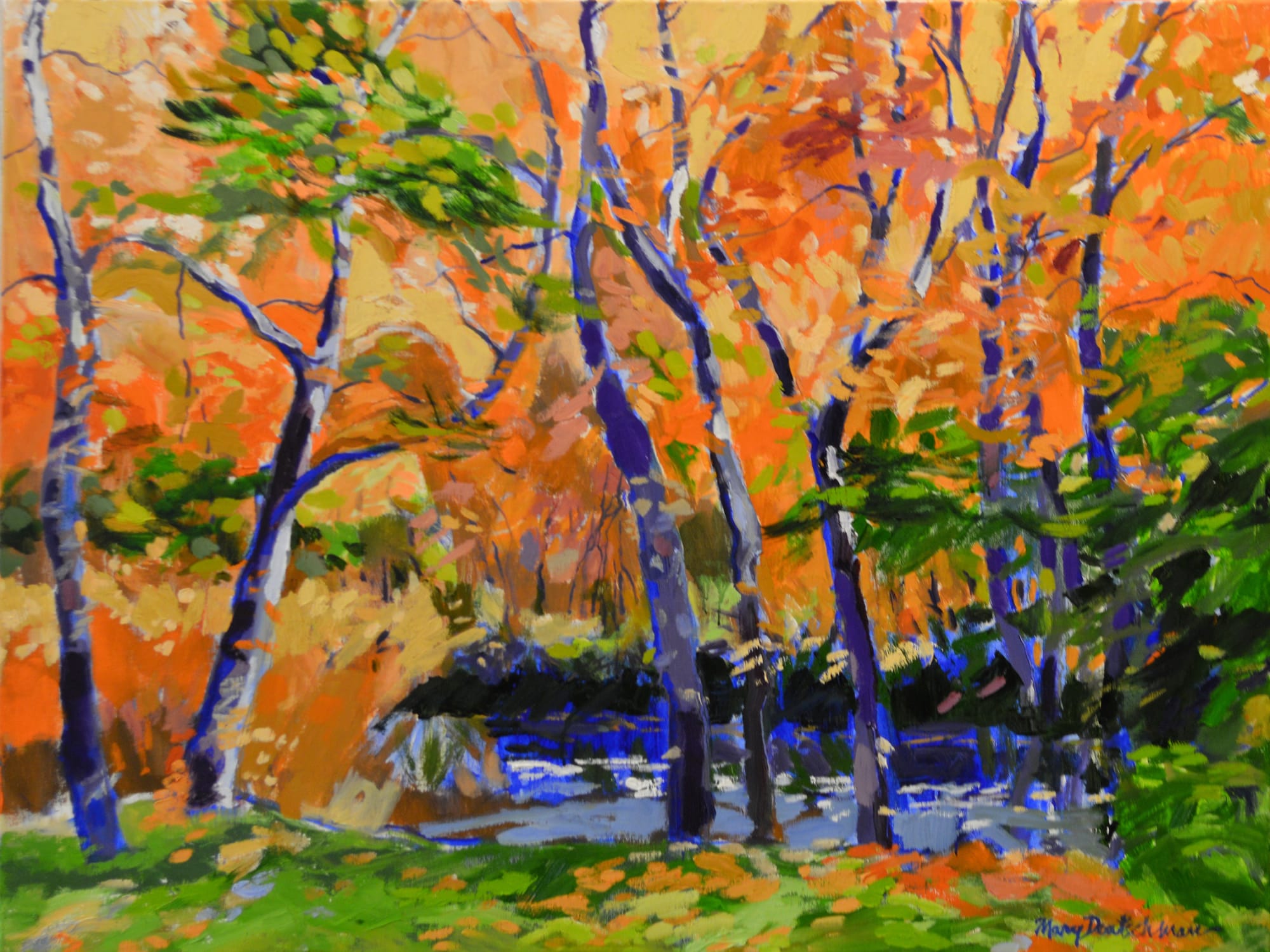 Mary Deutschman, 1043 Metroparks Woods, 2018