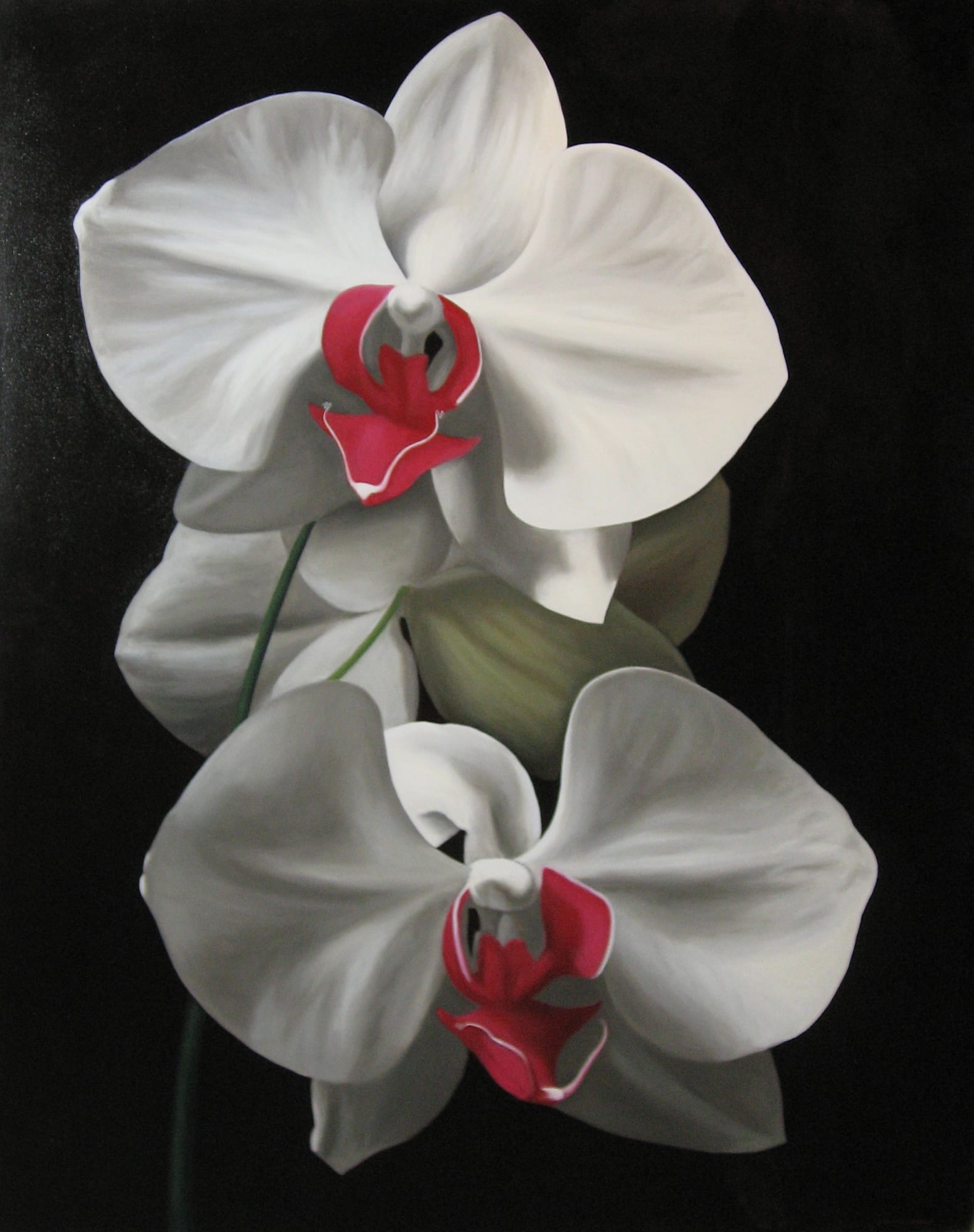 Eric Kunde, Three Orchids, 2003