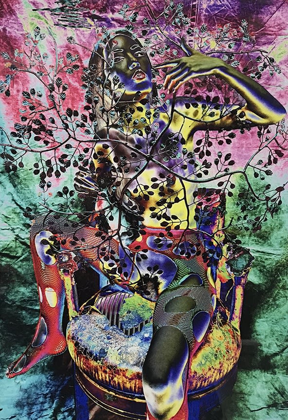 Abe Frajndlich, Cutting Edge Fauve One, 2010/2019