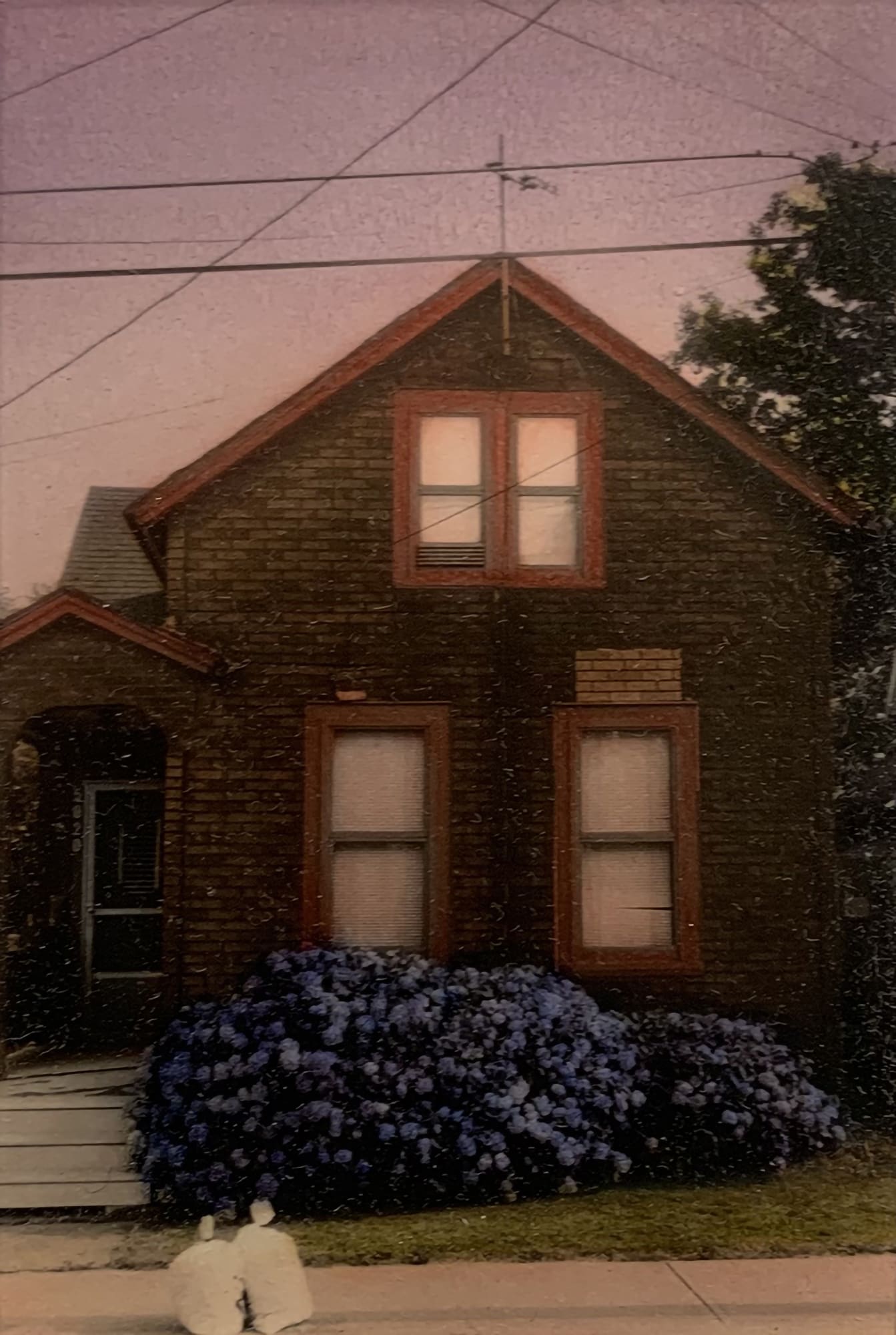 Douglas Lucak, Pink Sky, Blue Hydrangea, 2000