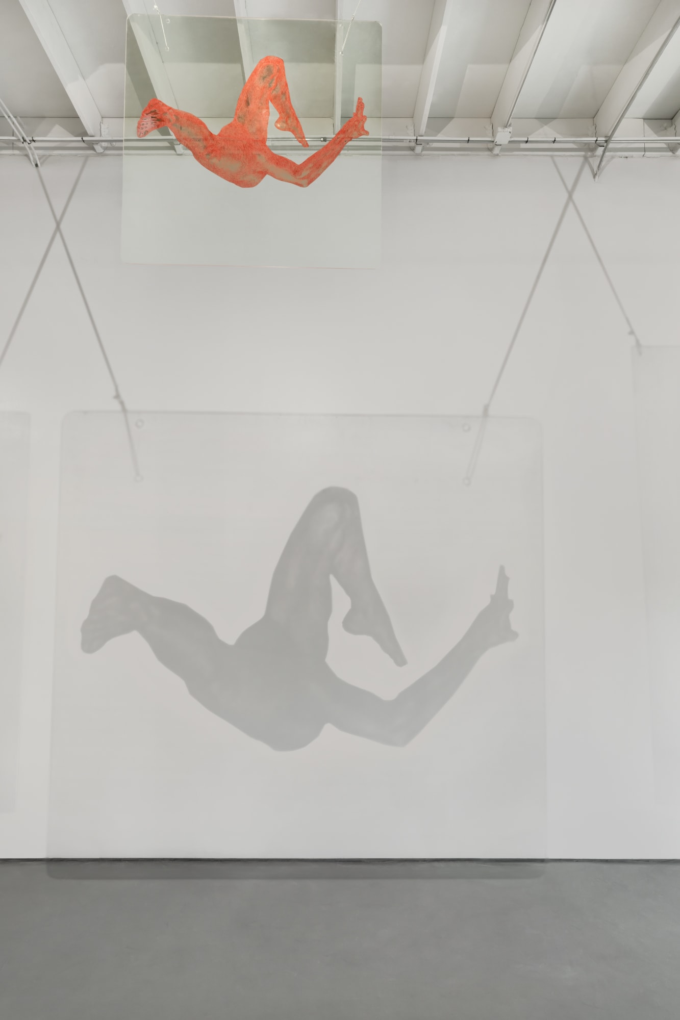 The MFA Show: Year 2