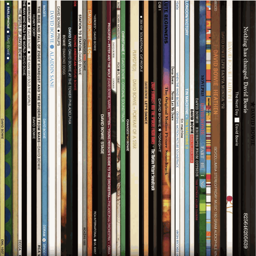 Keith Haynes, Spines #2 Bowie