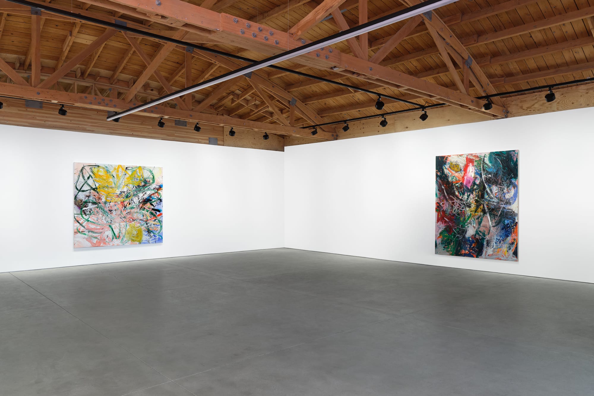 Aaron Garber-Maikovska Killing the Blues Installation View 2