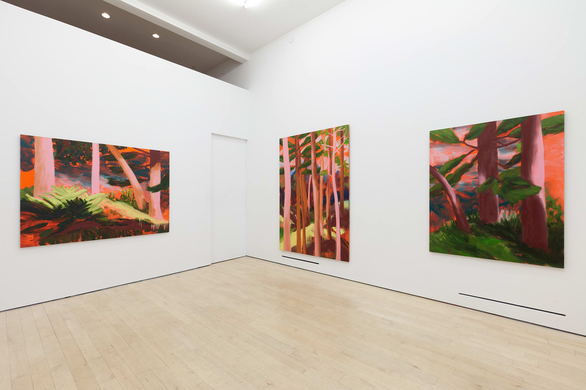 Nicole Wittenberg Tennis Elbow 93 Installation View 5