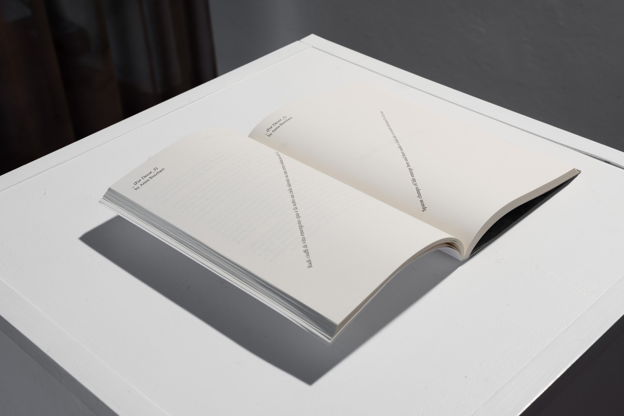 Installation shot 'Decor' / Mucho Mas!, 2018