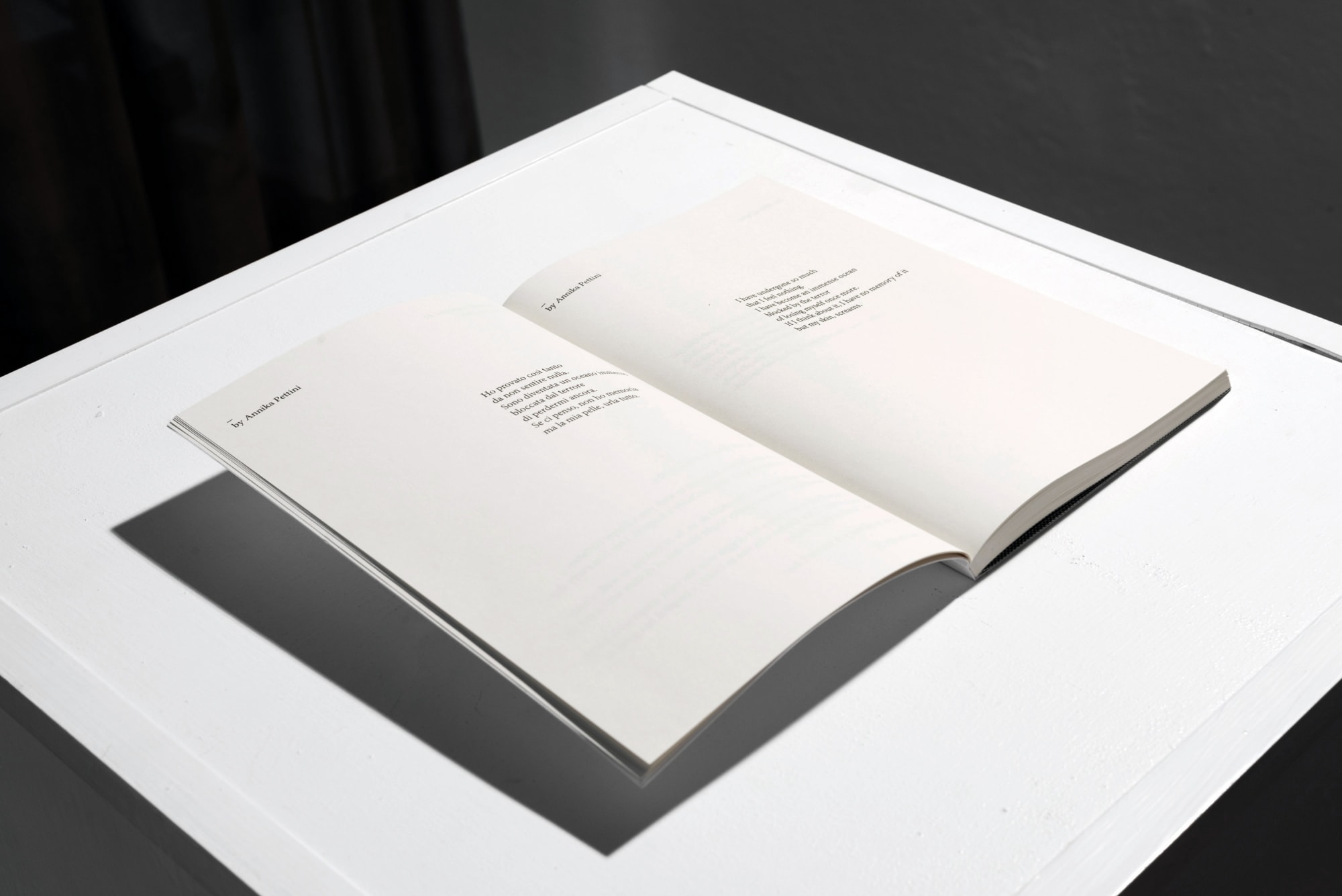 Mucho Mas! | 'Decor'