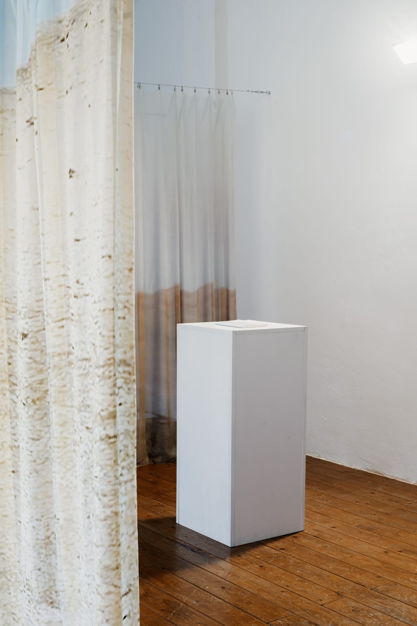 Mucho Mas! | 'Decor'