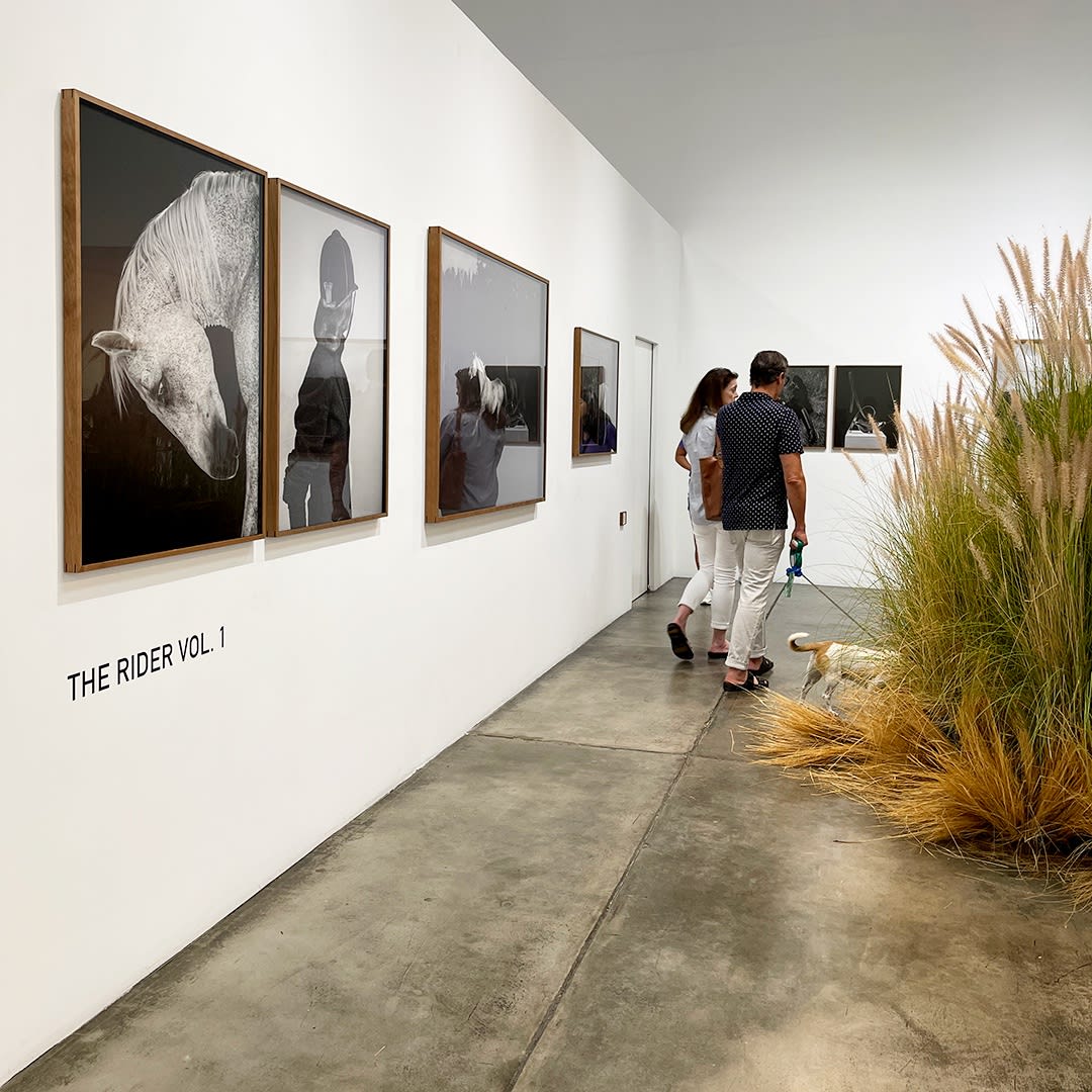 Galerie XII | 'The Blow' & 'The Rider Vol. 1'