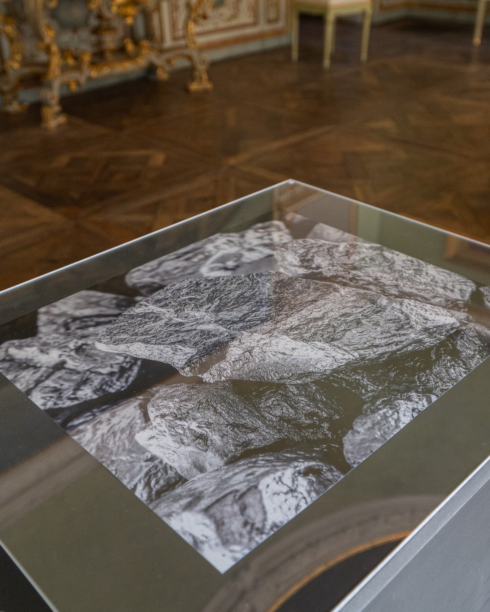 EXPOSED TORINO PHOTO FESTIVAL | 'True Colors'