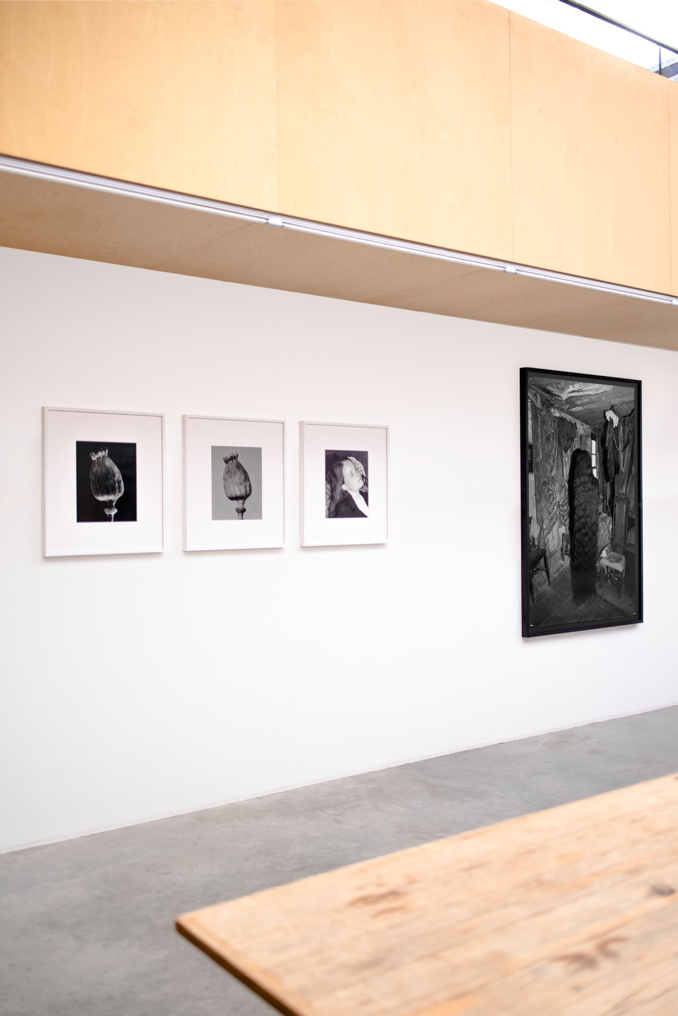 'THE ESSENTIAL SOLITUDE'