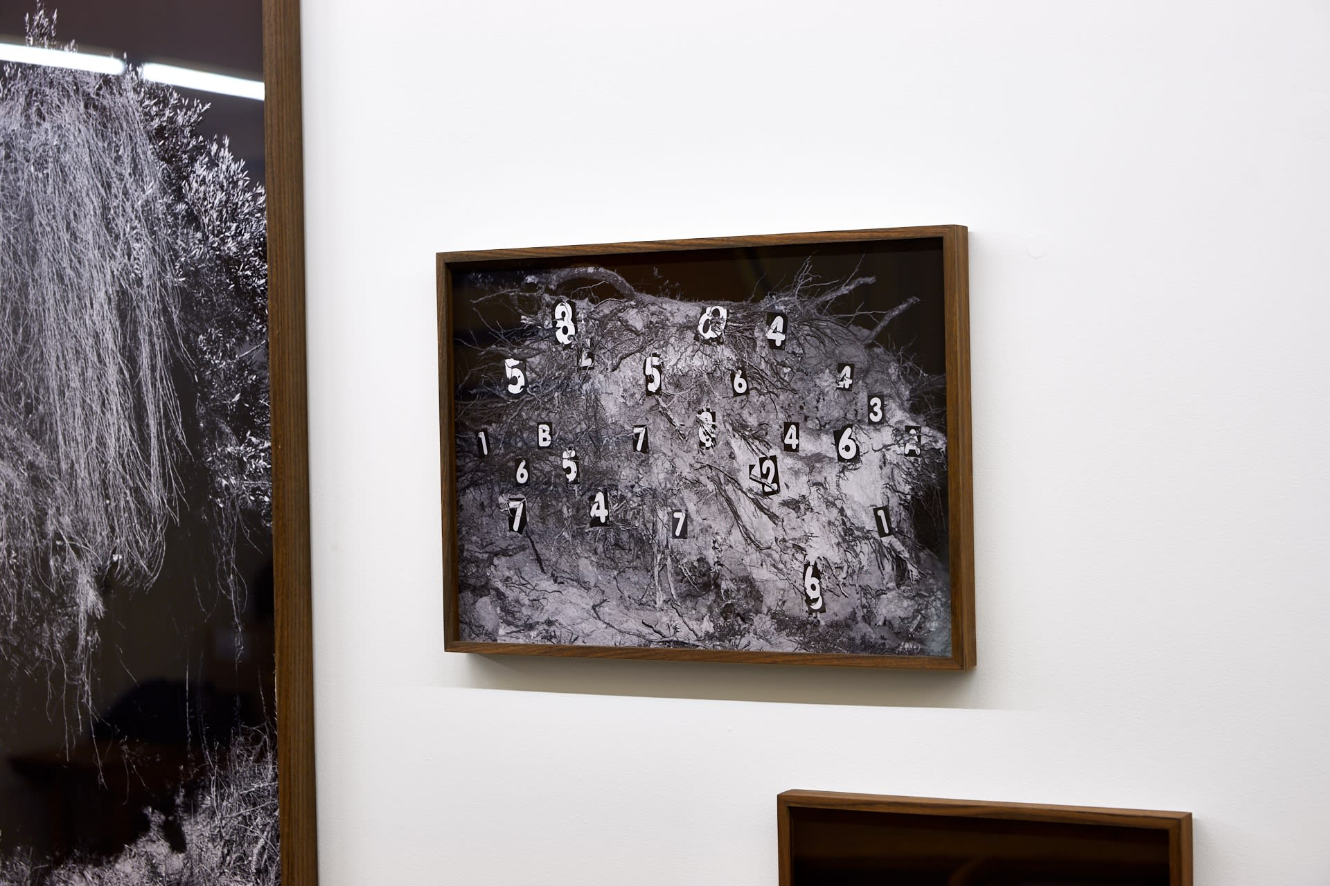 'The Fluid Right Edge'