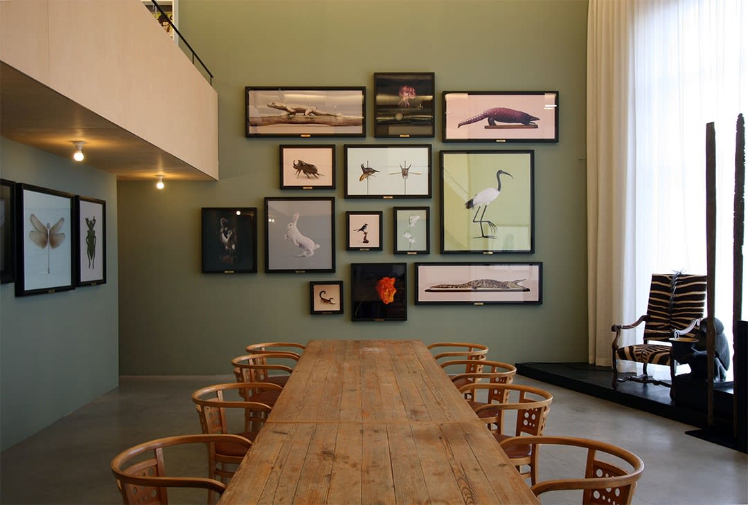 'Post Natural History'