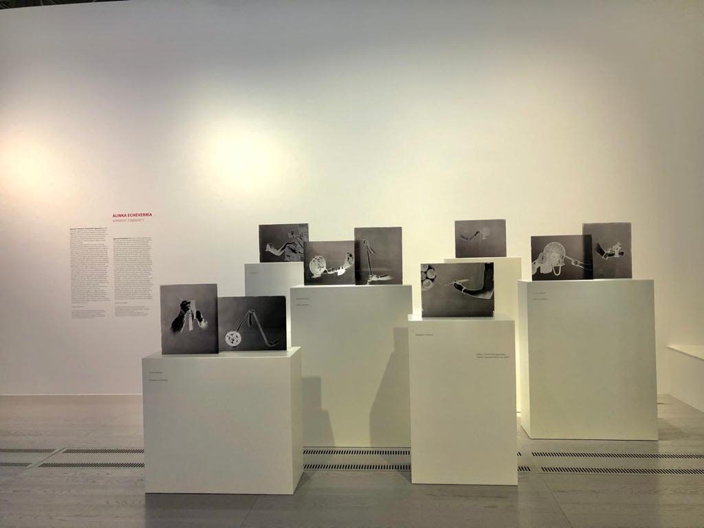 MAST Foundation | 'Apparent Femininity'