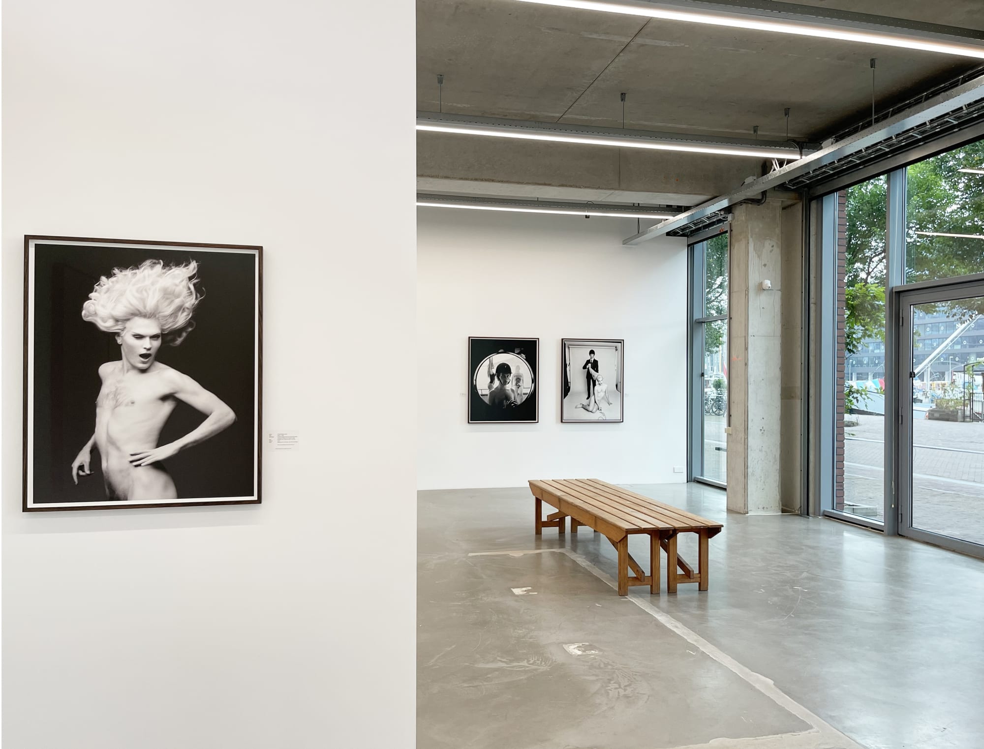 'A Glint In The Kindling'