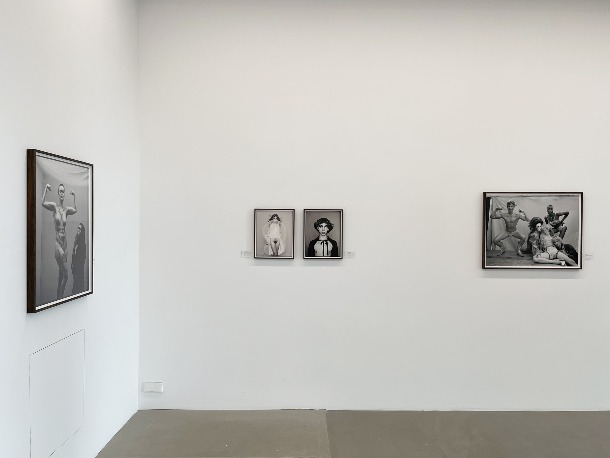 'A Glint In The Kindling'