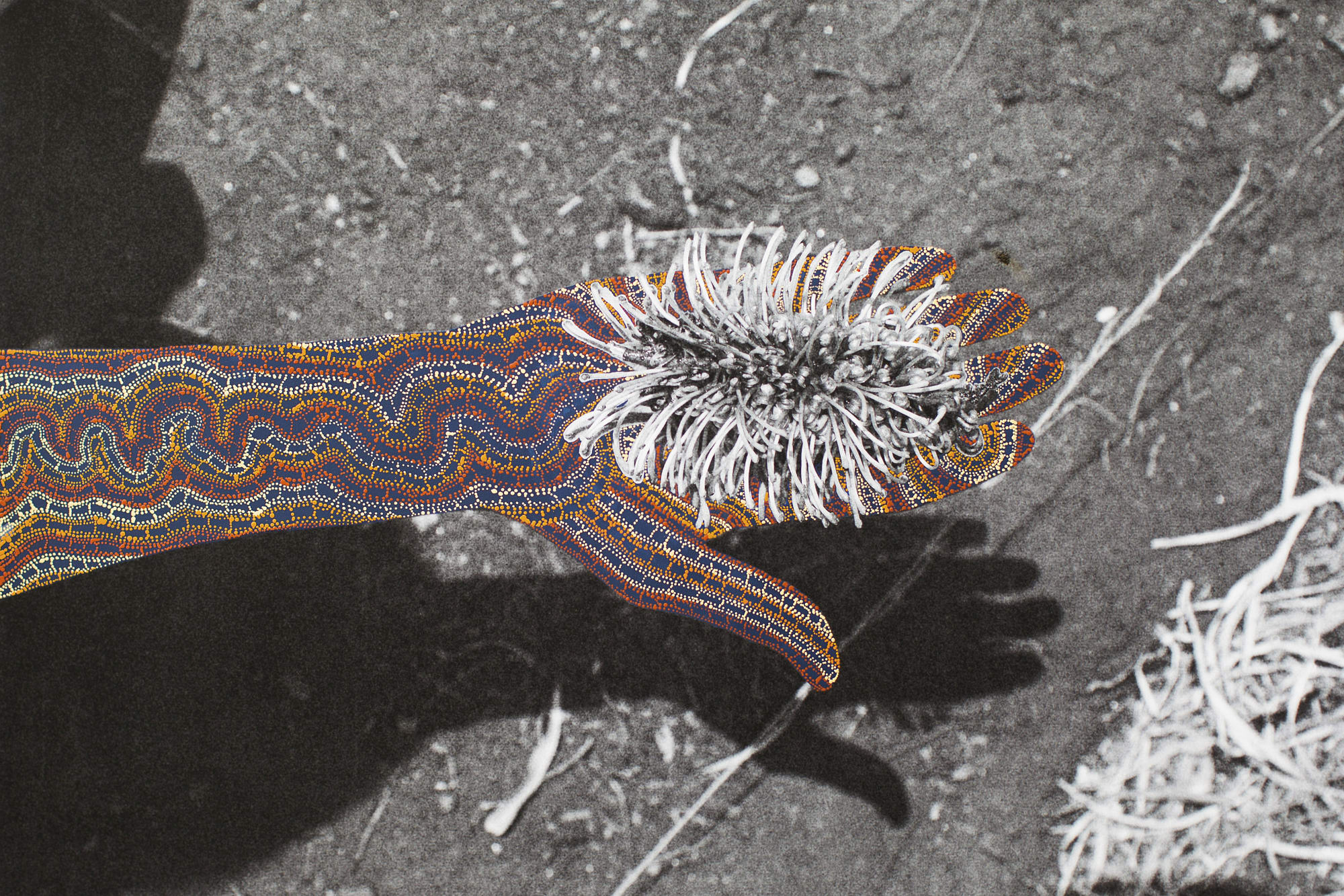 Placeholder image