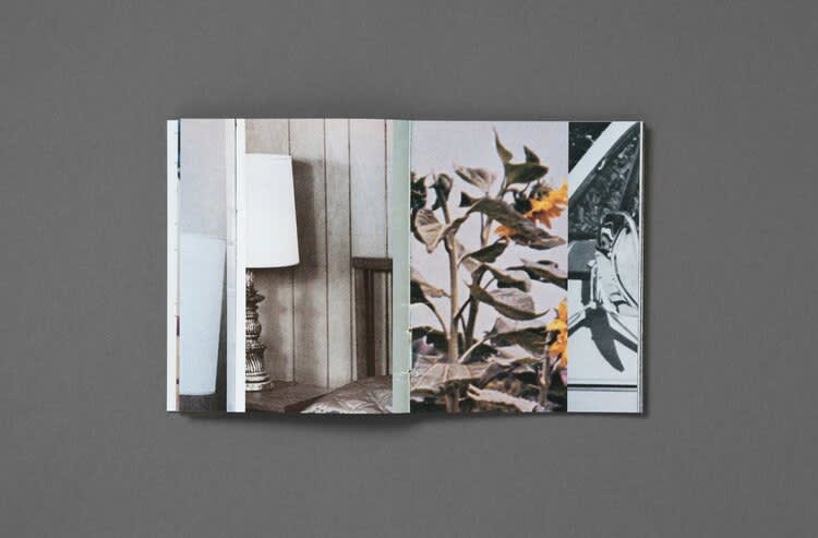 Sample images of I Wish I Never Saw the Sunshine by Pacifico Silano