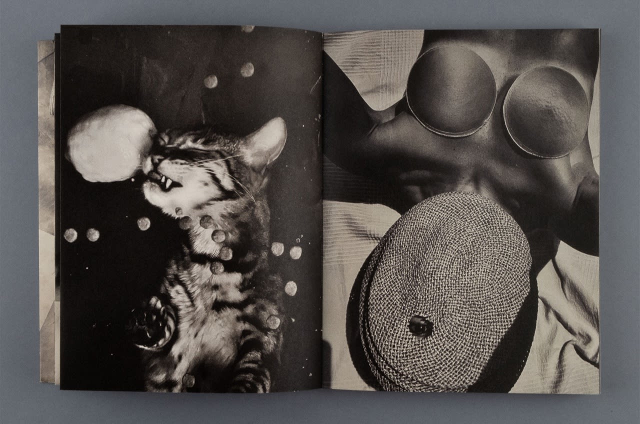 Sample images of Cabin Fever by Katie Burnett