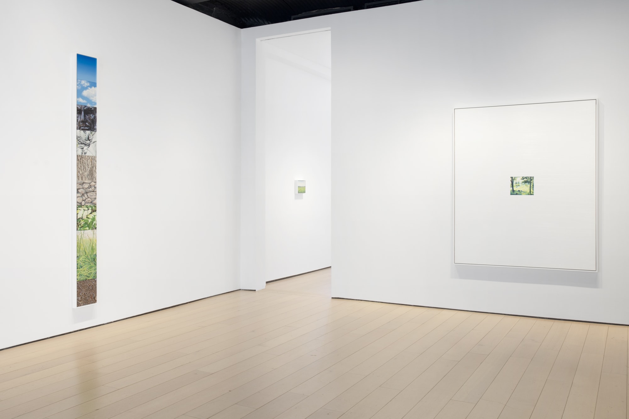 Cynthia Daignault As I Lay Dying Kasmin, New York, 2021