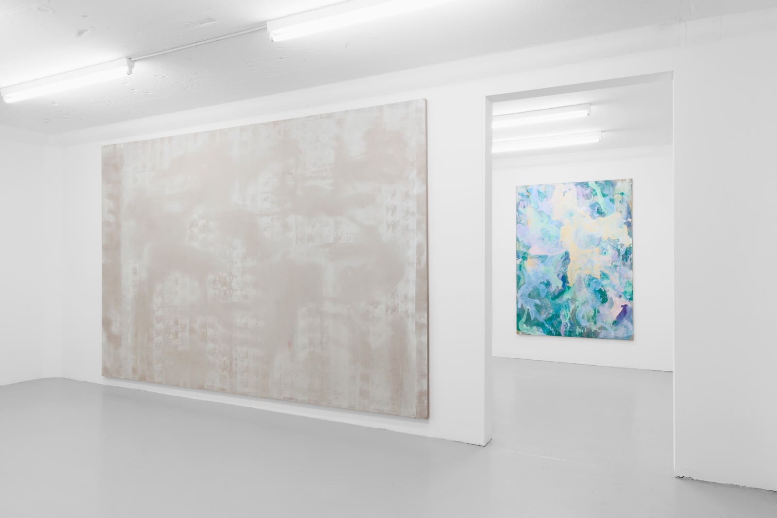 Tyra Tingleff Closer Scrub SALTS, Basel, 2015