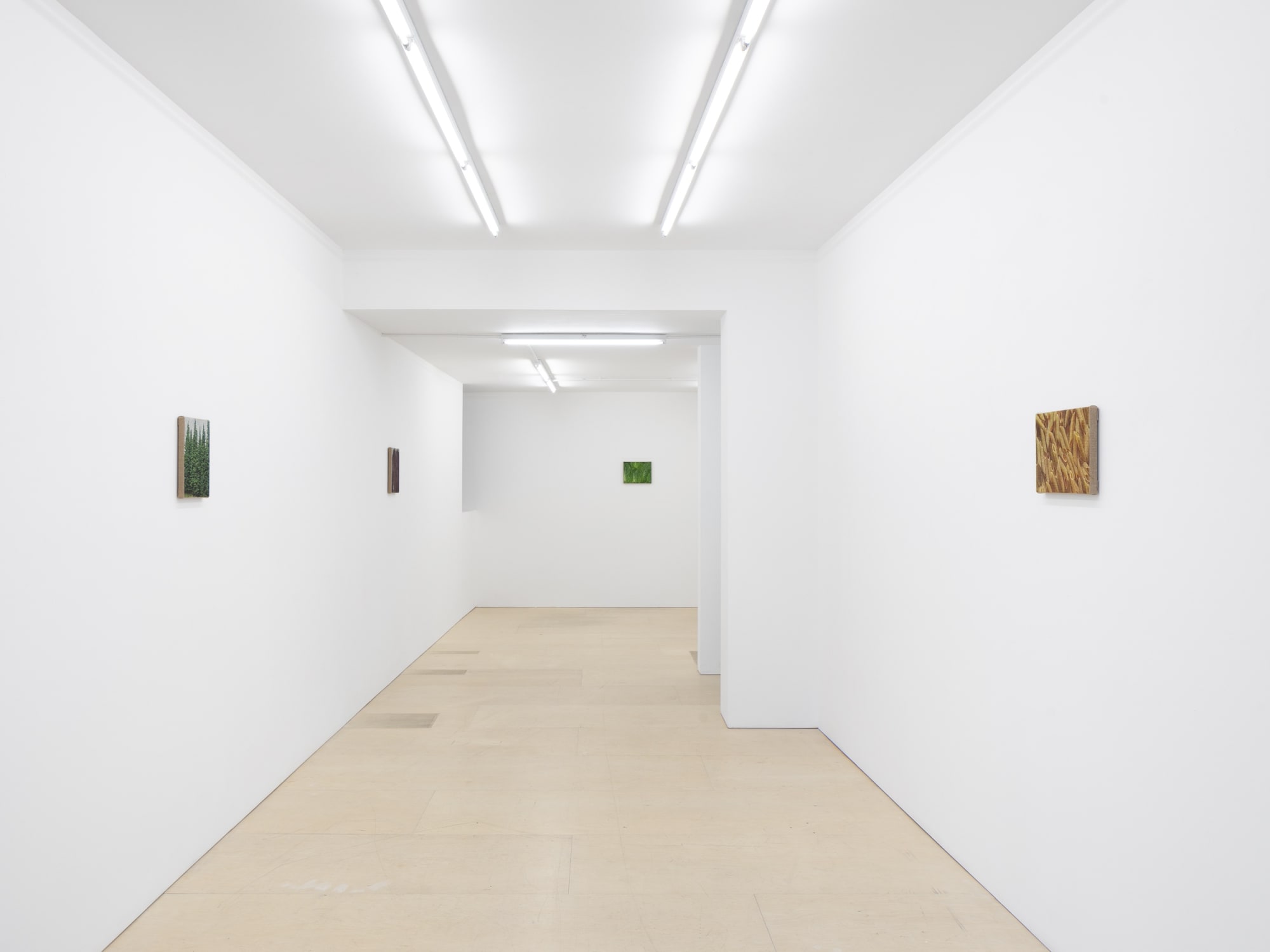 Jennifer J. Lee Drop Ceiling The Sunday Painter, London, 2021