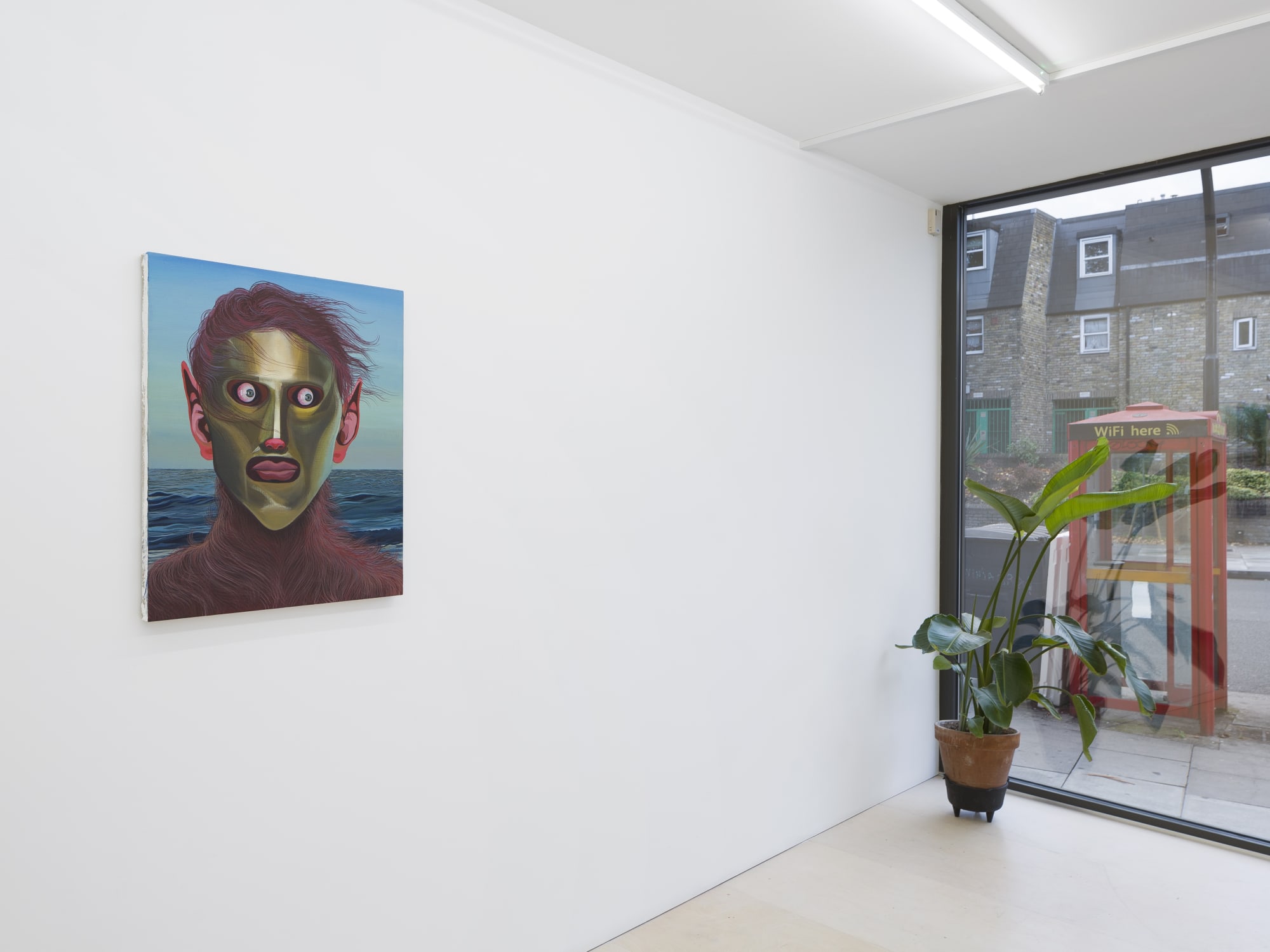 Dalton Gata: The Gaze Is Downstairs