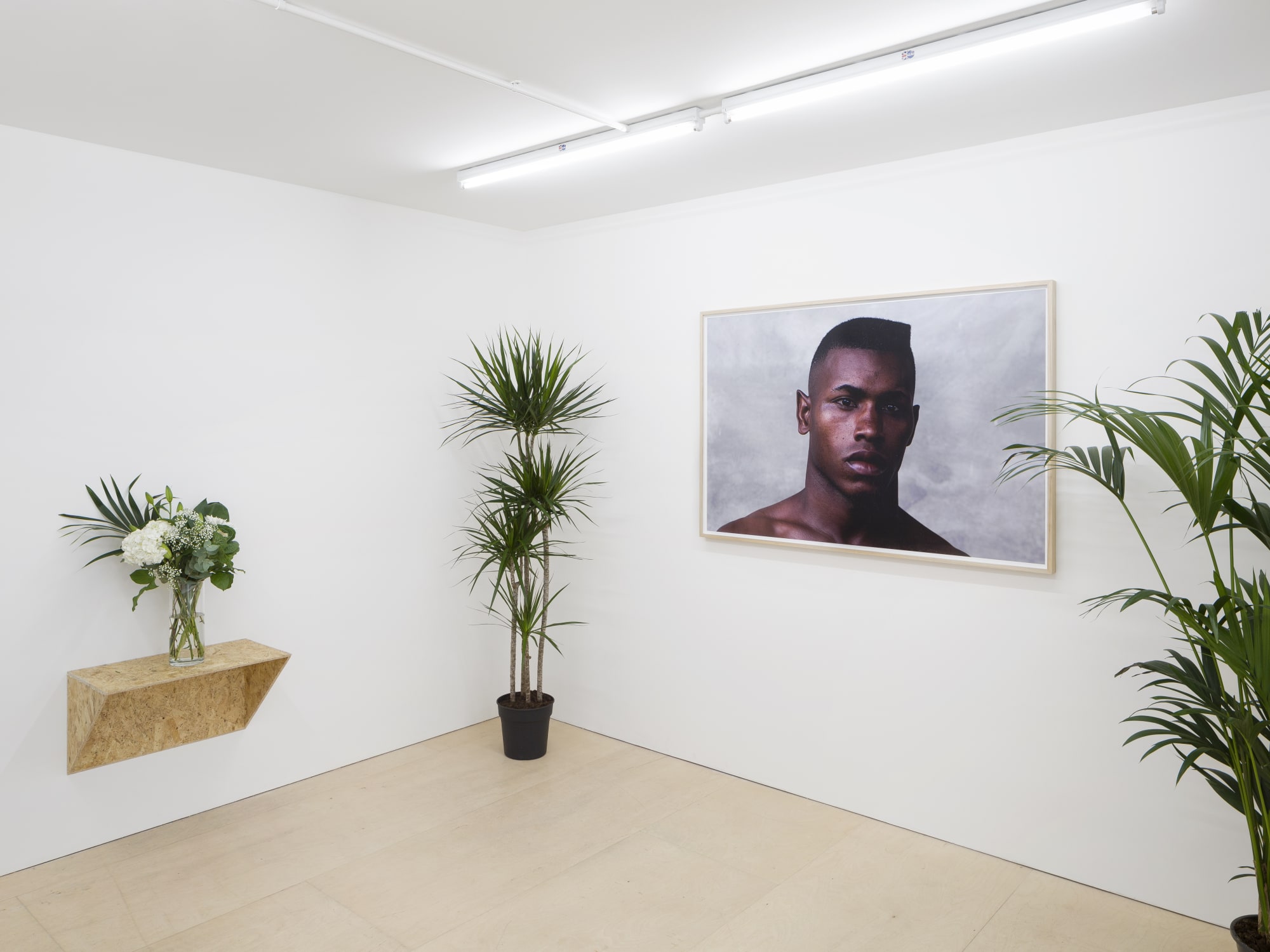 Dalton Gata: The Gaze Is Downstairs