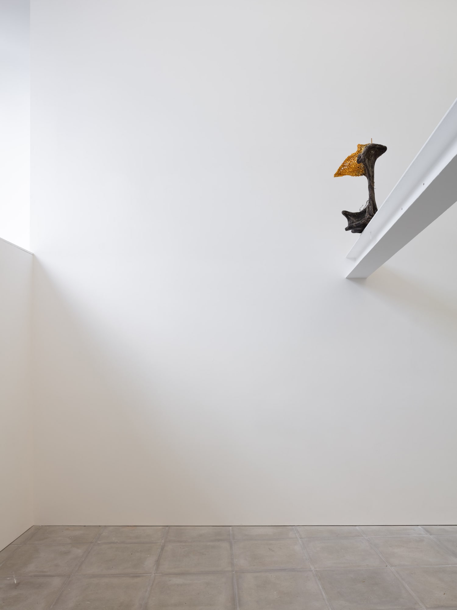 Piotr Lakomy: One Foot Bone Box